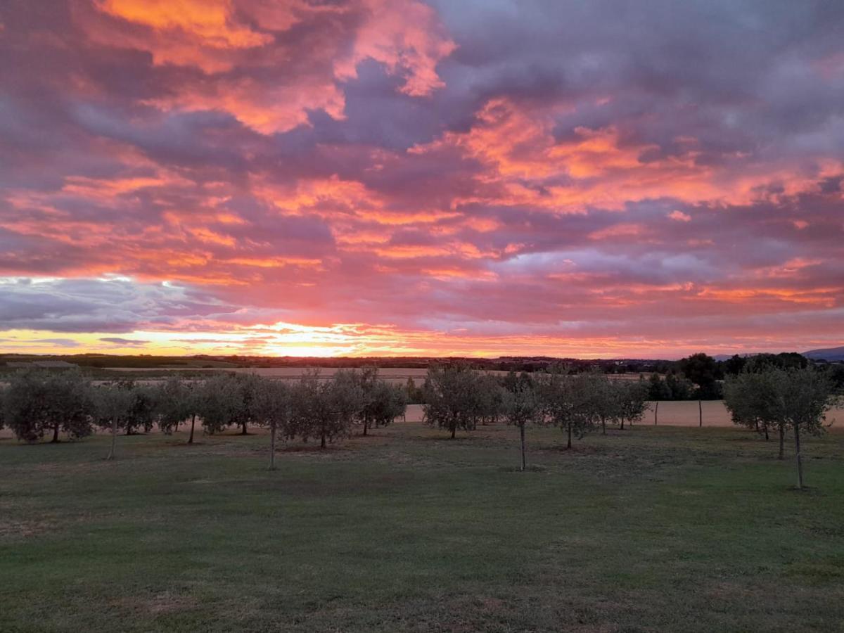 Podere Molinaccio Паникале Екстериор снимка