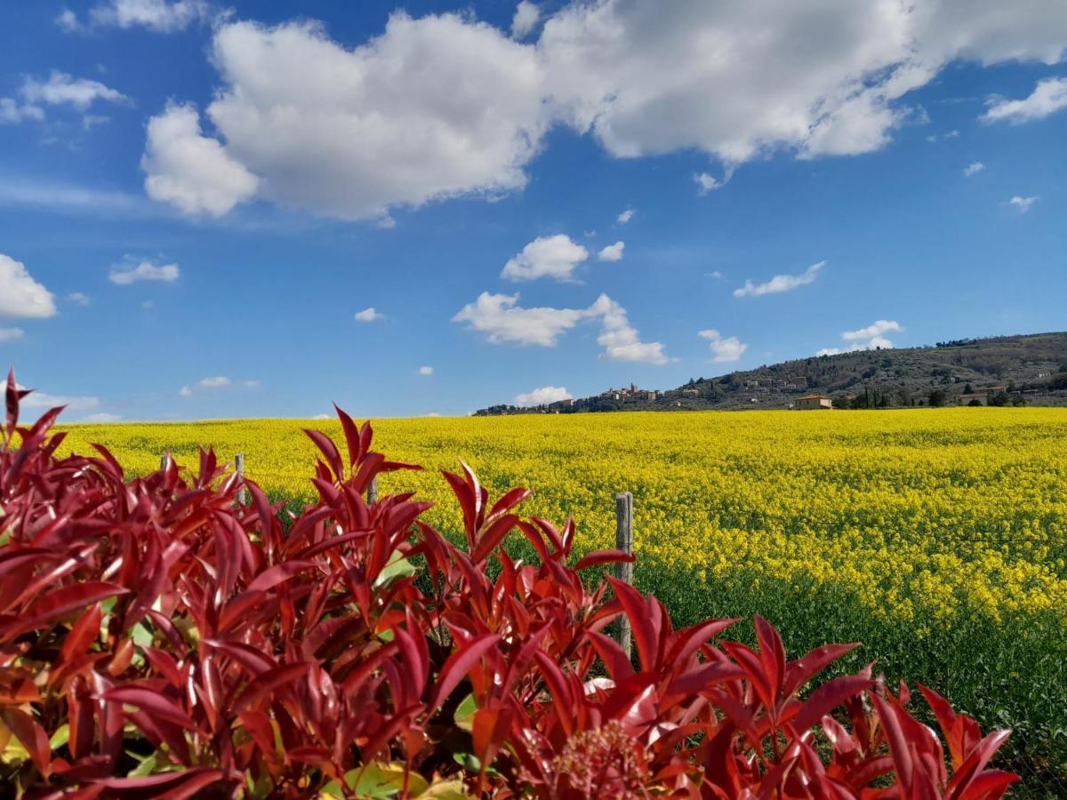 Podere Molinaccio Паникале Екстериор снимка