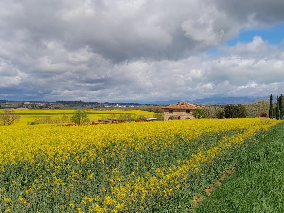 Podere Molinaccio Паникале Екстериор снимка