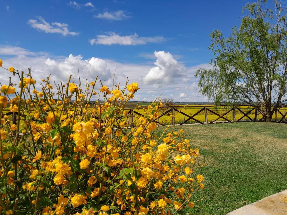 Podere Molinaccio Паникале Екстериор снимка