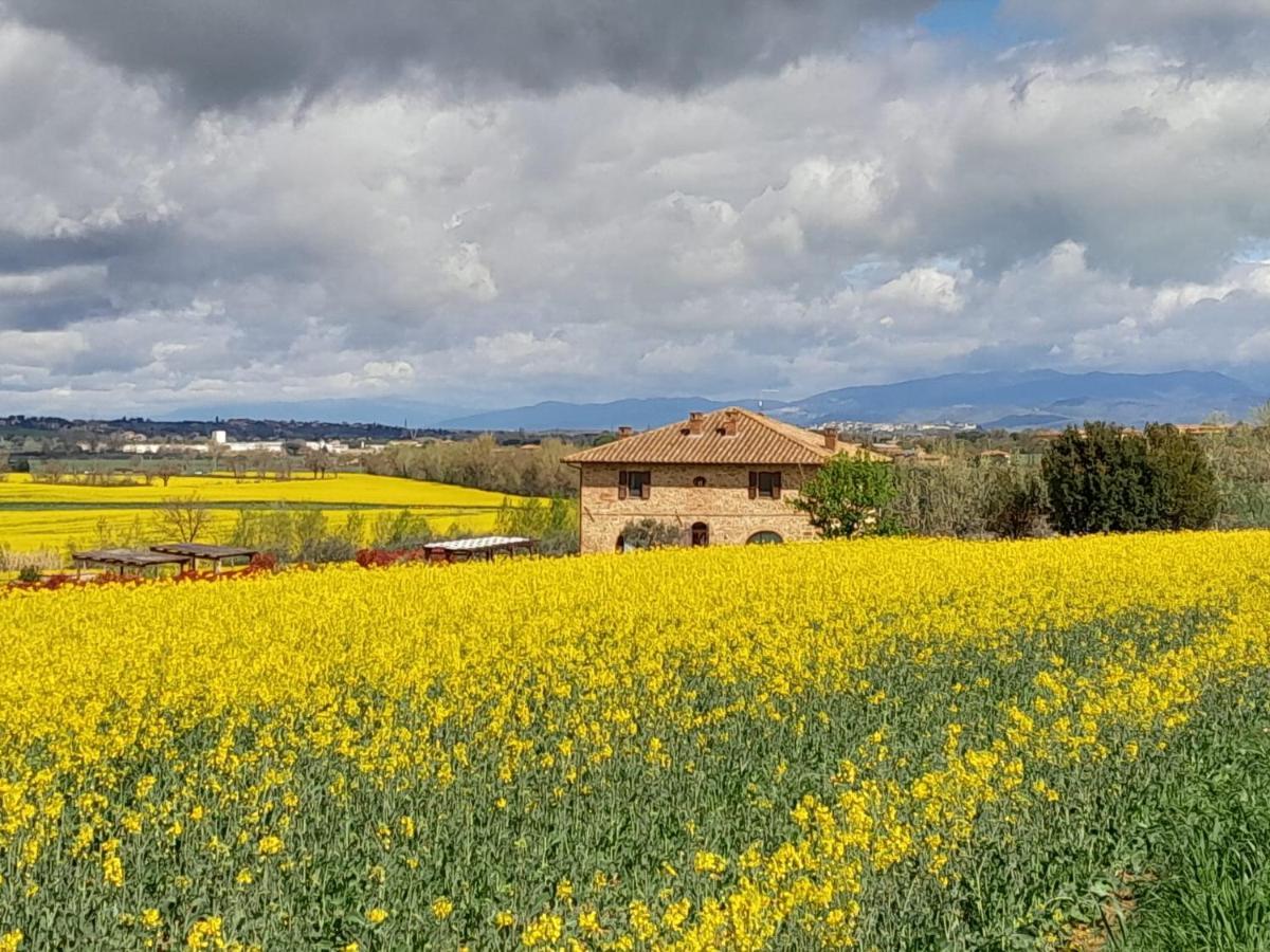 Podere Molinaccio Паникале Екстериор снимка