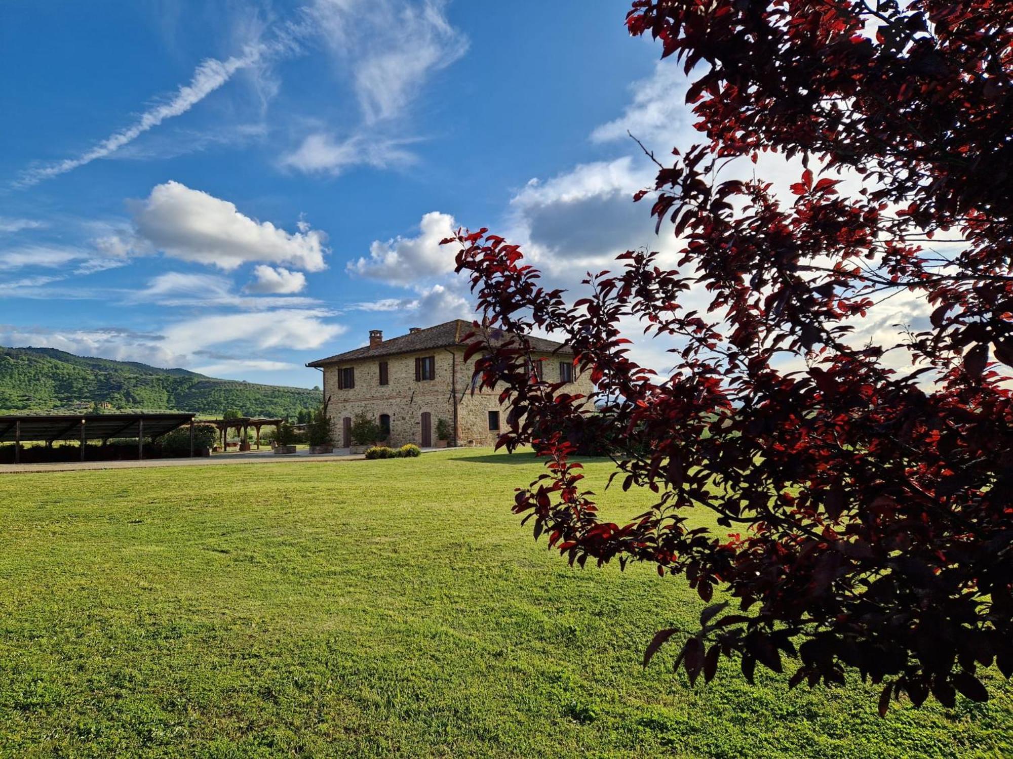 Podere Molinaccio Паникале Екстериор снимка