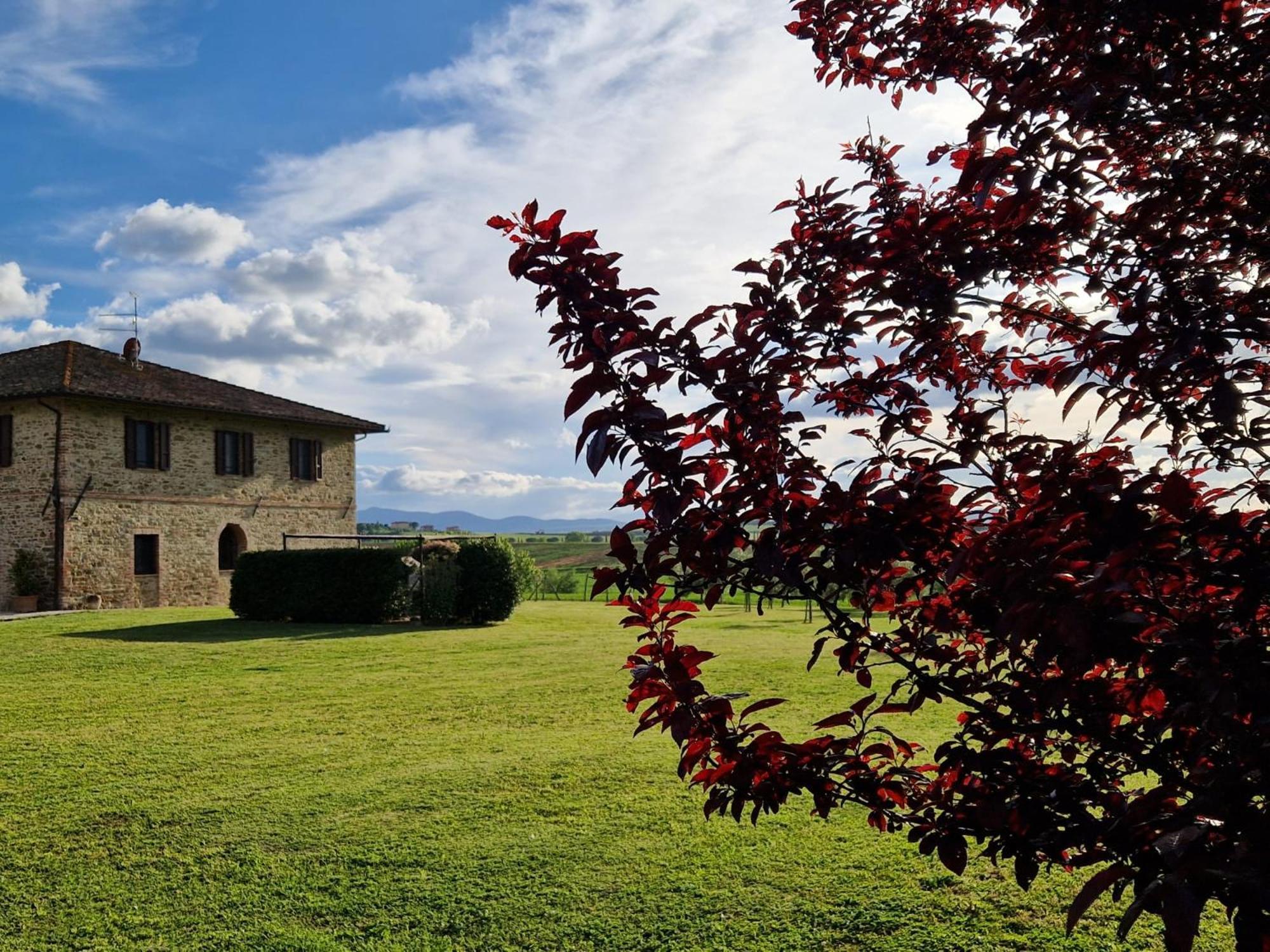 Podere Molinaccio Паникале Екстериор снимка