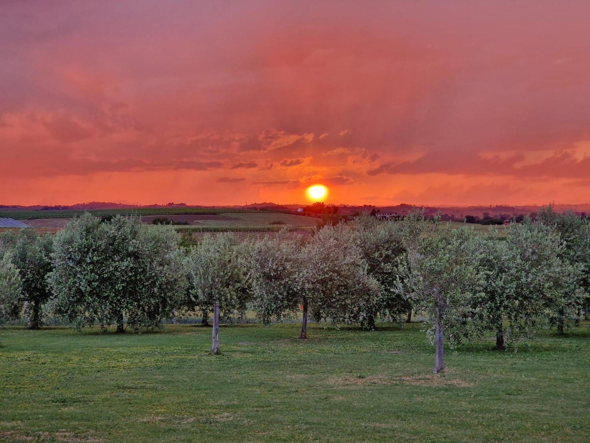 Podere Molinaccio Паникале Екстериор снимка